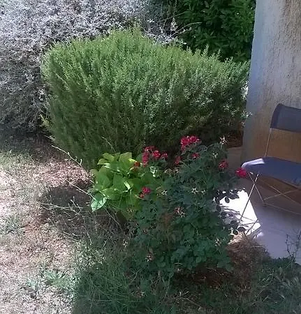 New Axel With Sea View 2025 Apartment Rovinj
