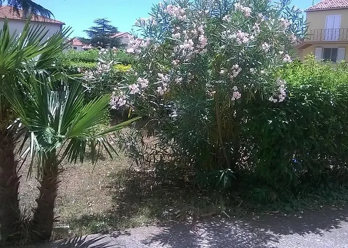 Appartement New Axel With Sea View 2025