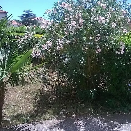 Διαμέρισμα New Axel With Sea View 2025